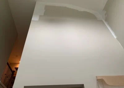 Residential Painters